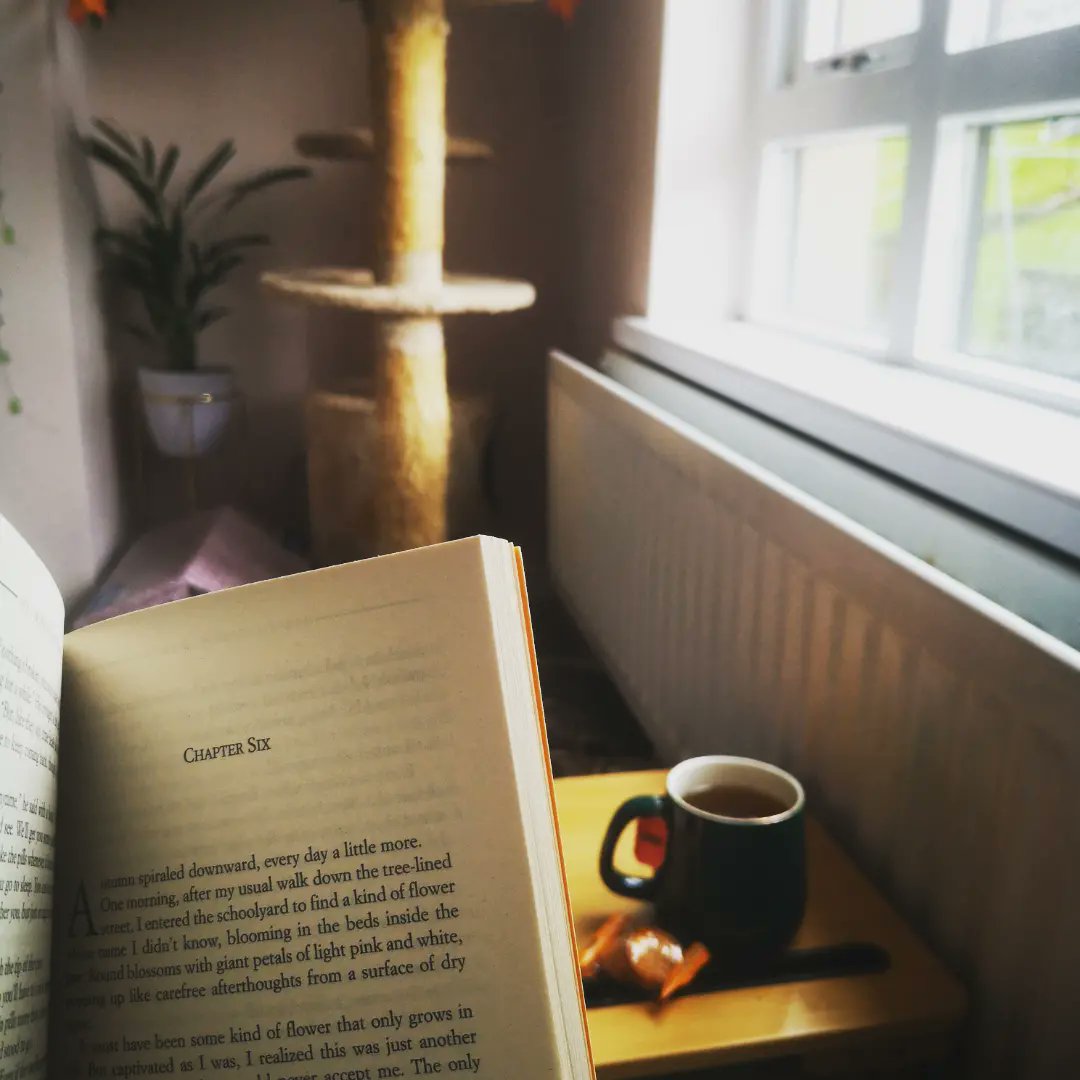 DrCNorth's tweet photo. Always nice to read on a rainy day 🧡🌧️📚
(Nearly had Sky Plus, but Courtney kept moving 😅) https://t.co/Vyawo1dnla