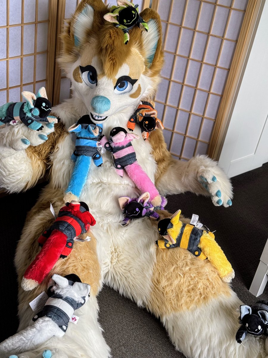 KOINU 🔜 FURDU tweet media