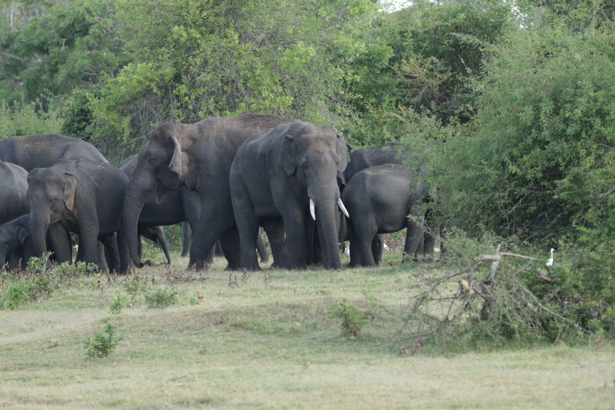 thewebscaledba's tweet image. zurl.co/7a7s   
Effective Methods for Tracking PostgreSQL Parameter Changes 
#PostgreSQL #DBA #PostgreSQLPerformance #SQLTips #PostgreSQLConsulting