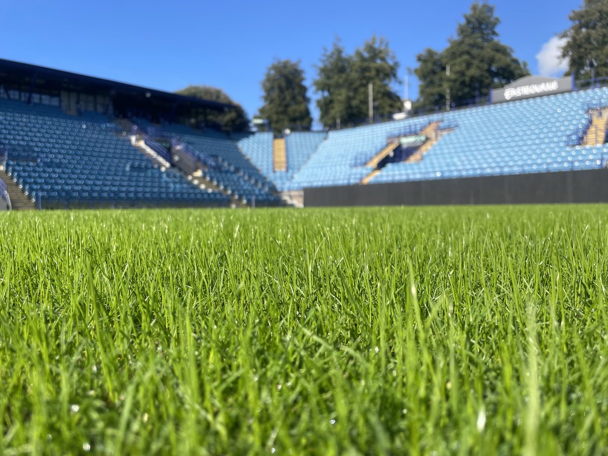 Danny Negus tweet media