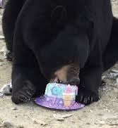 smokey64 tweet media