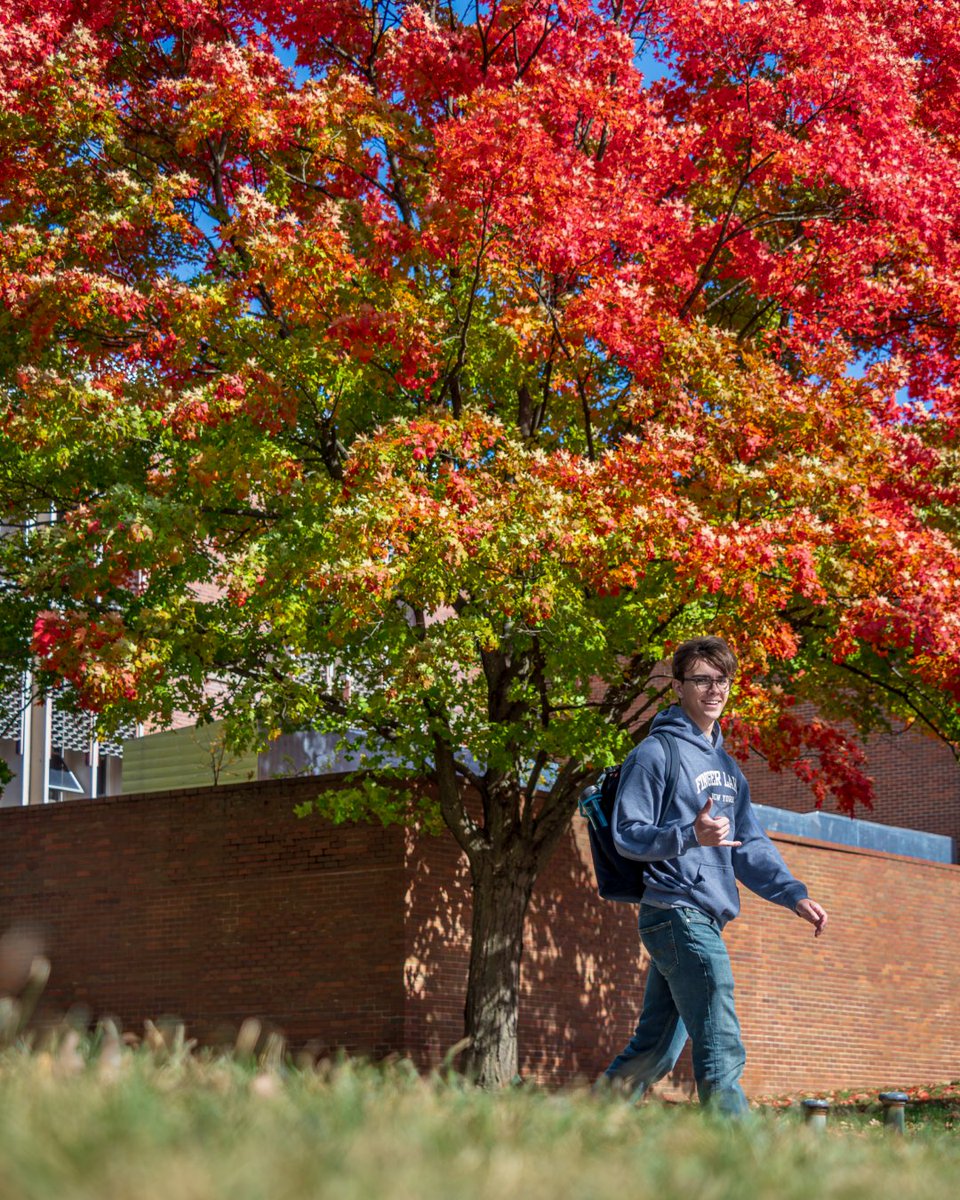 montclairstateu's tweet image. 🎶 ‘Ch-ch-ch-changes…’ 🍁 #MontclairViews

We are fully embracing the beauty of the colors this fall. 😌