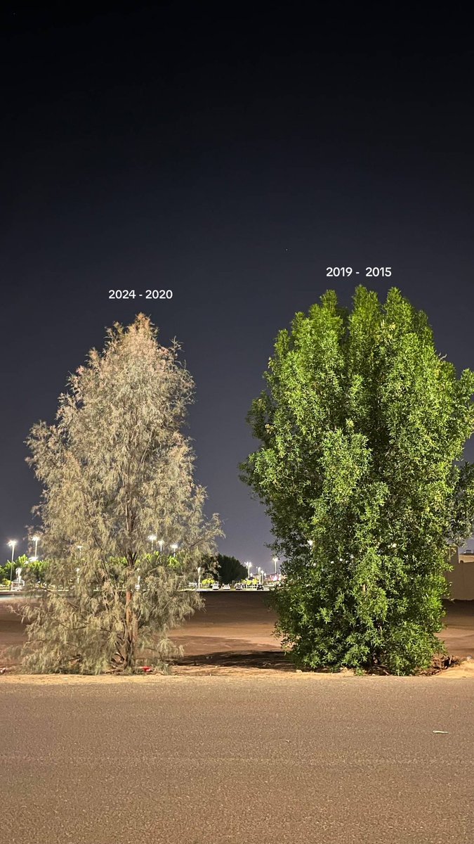 2019'dan sonra hayat durdu sanki