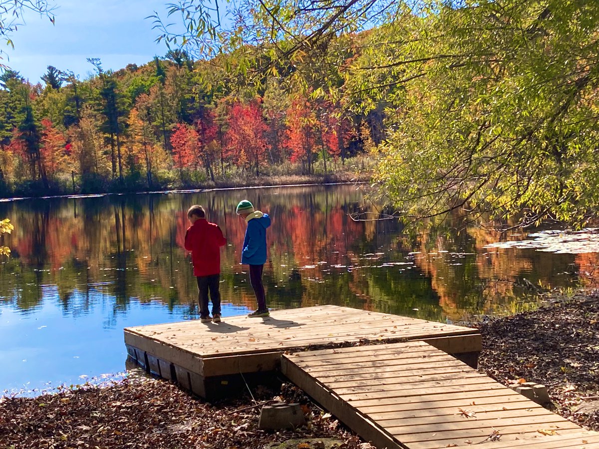 Swan Lake Outdoor Ed (@swanlakeoe) on Twitter photo “Sometimes when I’m feeling annoyed, I go into nature and it always calms me down.”
“If I’m feeling stressed out, I’d like to take a walk here to calm down.”
~Gr.4 students <a href="/WendatVillagePS/">Wendat Village PS</a> “Sometimes when I’m feeling annoyed, I go into nature and it always calms me down.”
“If I’m feeling stressed out, I’d like to take a walk here to calm down.”
~Gr.4 students <a href="/WendatVillagePS/">Wendat Village PS</a>