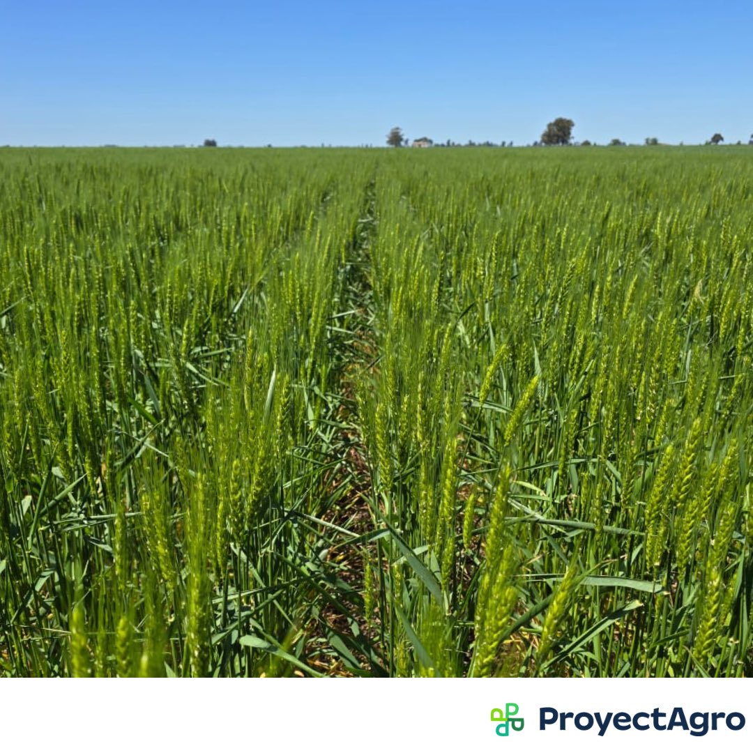 ProyectAgro tweet media