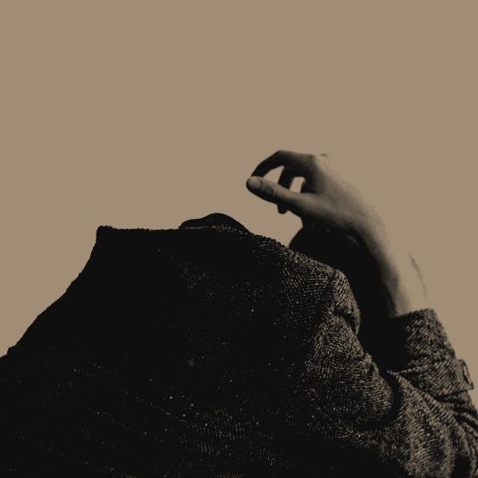 𝒓emus. tweet media