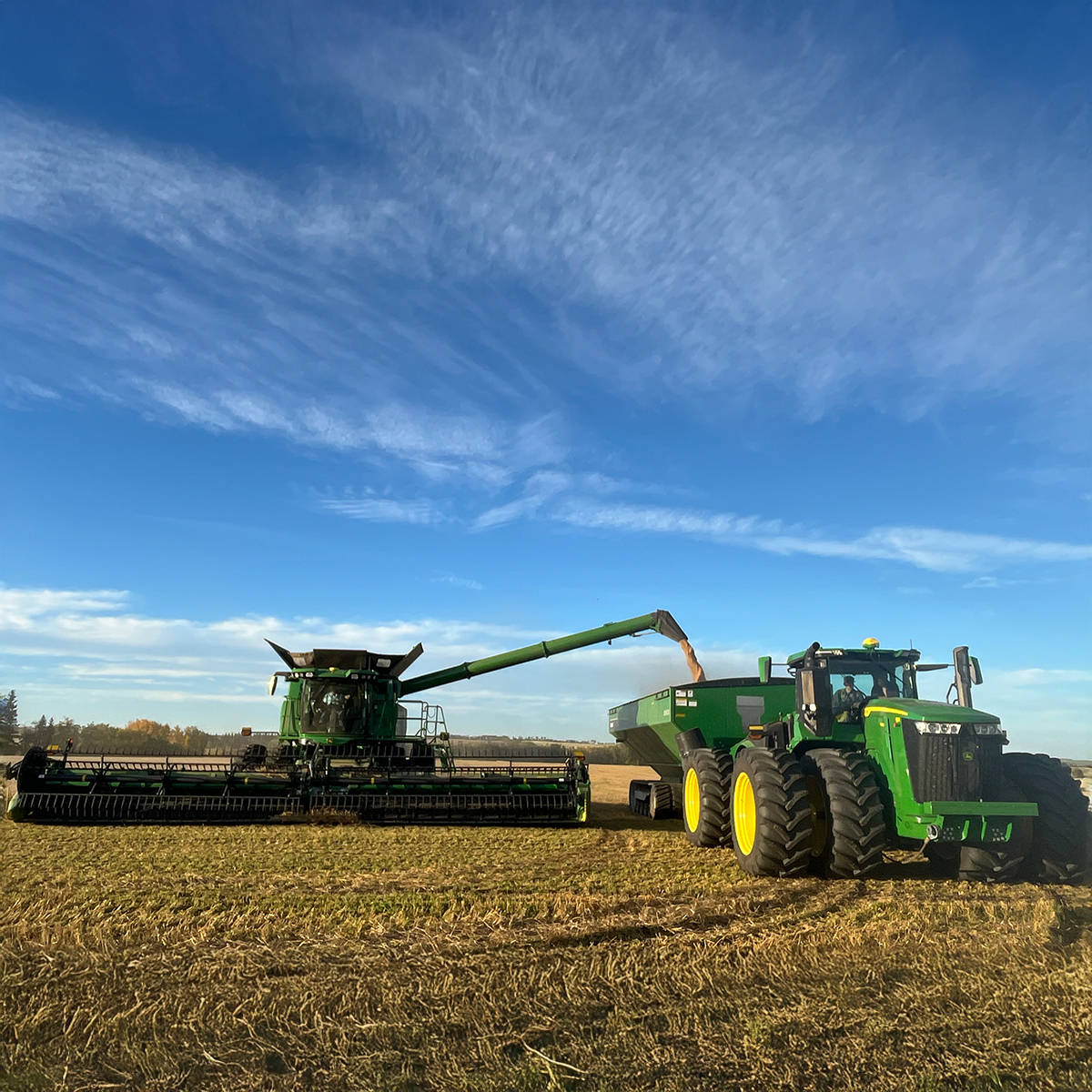 Brandt_AG's tweet image. Introducing the S7 800 MY 25 combine with Predictive Ground Speed Automation! Our team was out in the Ponoka area, doing some fantastic work with this new addition to the Deere family. 

Learn more: ow.ly/e7RZ50TNPGm

#JohnDeere #BrandtAg #PrecisionAg #Combines #Ponoka