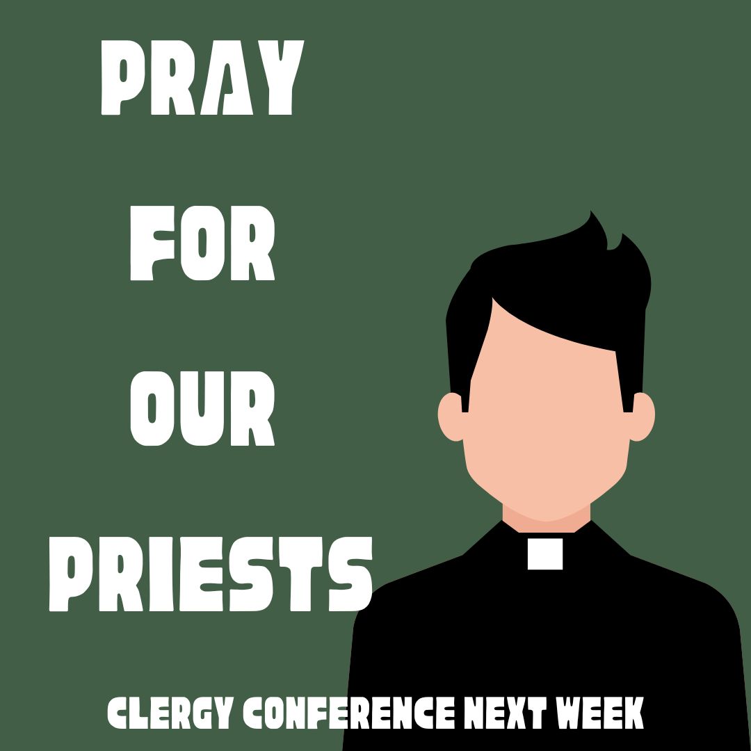 All_Saints_Catholic tweet media