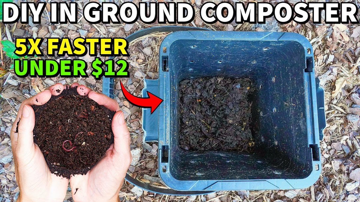 NCGardening's tweet image. New YouTube vid! This easy #DIY in ground #composter cost $12 to make &amp;amp; the performance blew my mind! It makes #compost SO FAST!

youtu.be/Vr648lYCq_4?si…

#compost #garden #gardening #gardeninglife #gardeninglove #vegetablegarden #vegetablegardening #growyourown #growyourownfood