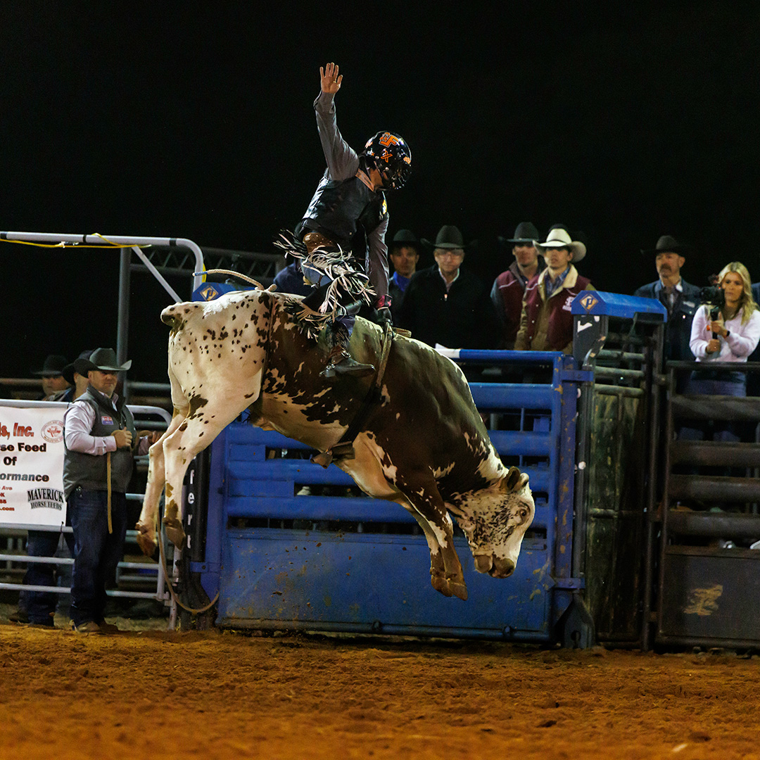 I attended the 11th Cowboy Stampede last night. Had a great time cheering on our Cowboys and Cowgirls! 🤠
