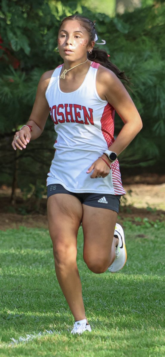 XCRedHawk's tweet photo. Congratulations to Goshen’s  NLC all-conference selections. https://t.co/foKvDSWNty