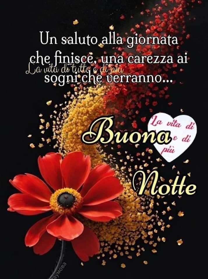 RITABIANCHi56 tweet media