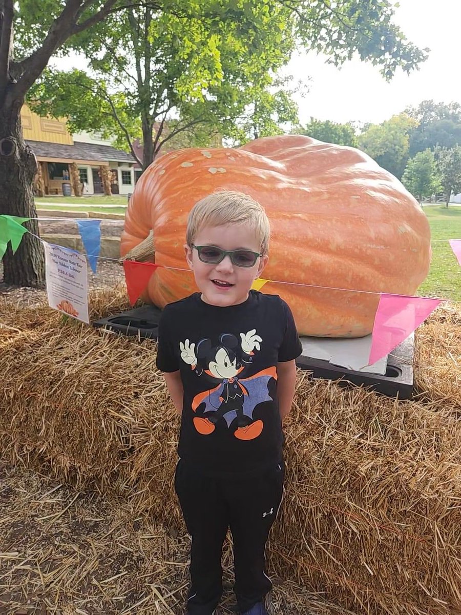 HPS Network tweet media