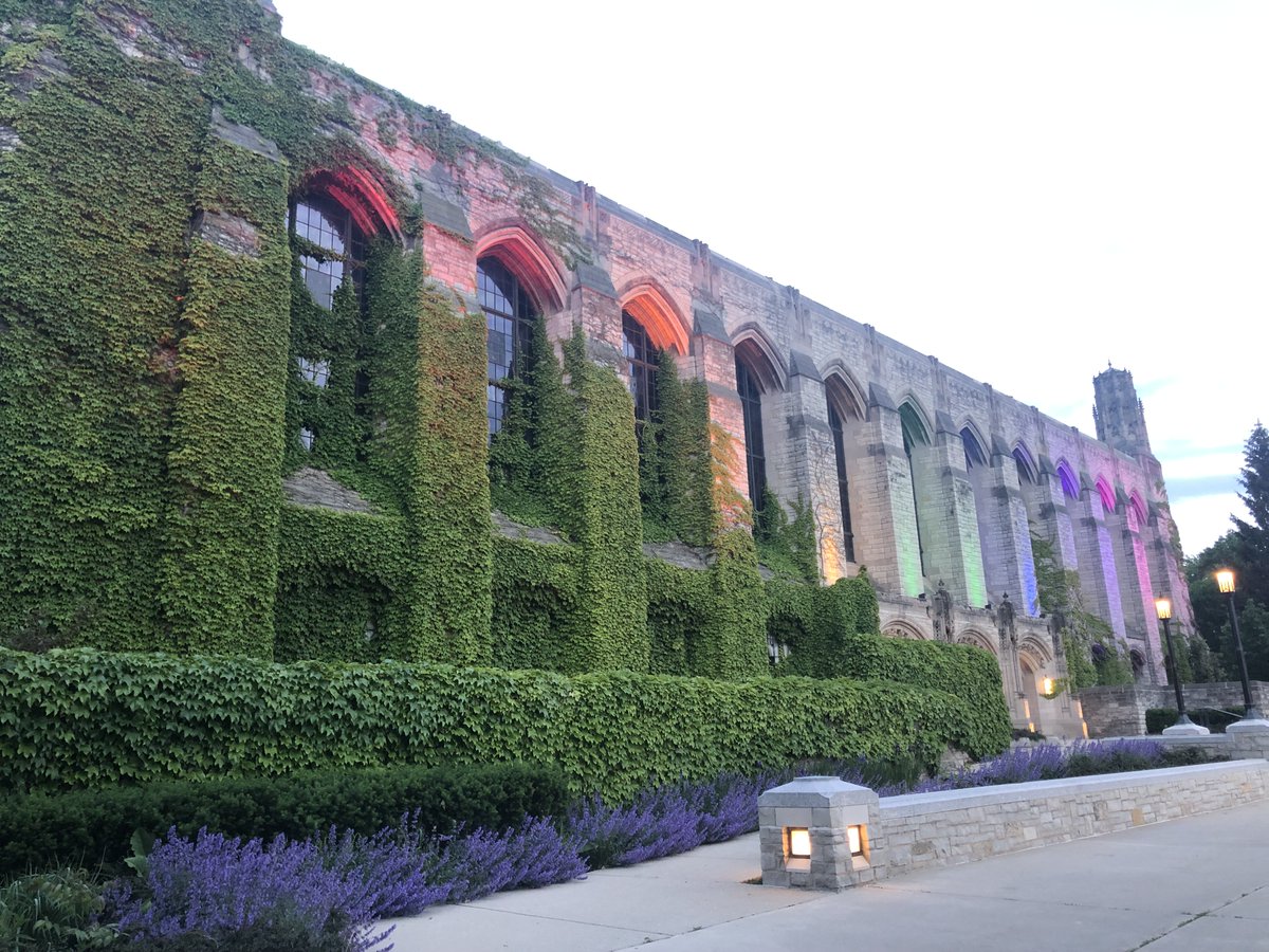 tinywolf1's tweet photo. Excited to share I’m joining the Norris mini course teaching team at @NorthwesternU! I’ll be teaching non-credit writing courses open to the community. A big personal milestone and proof that it's never too late to chase your passion! #WritingCommunity #LifelongLearning #DreamBig https://t.co/IXWyN3yLz6