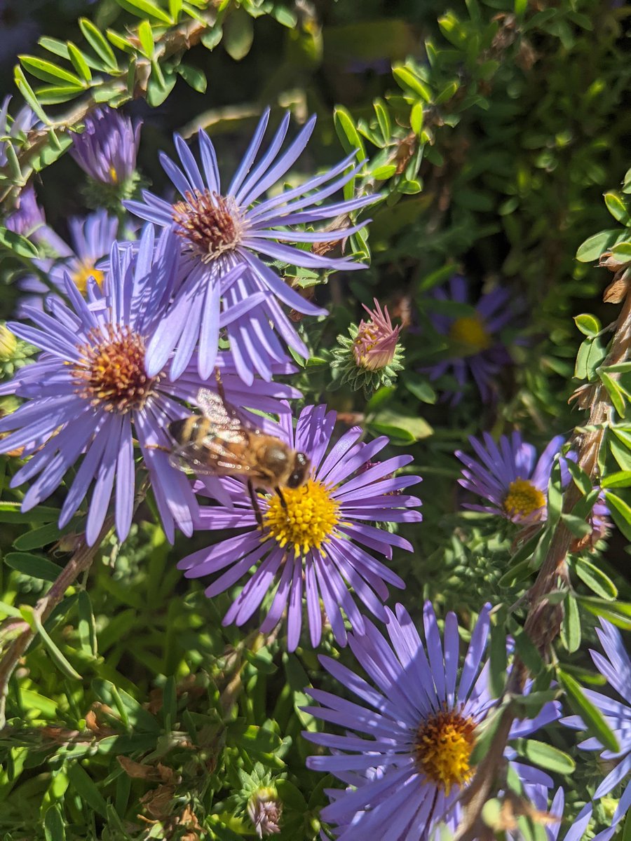 Robin Diener tweet media