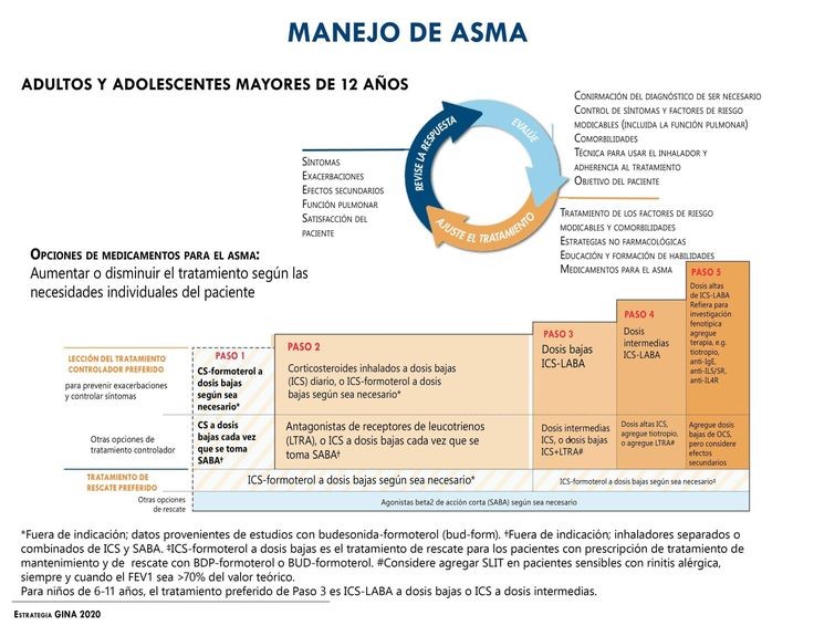 ENARM_intensivo's tweet photo. 💢Manejo  del  asma  

#ENARM_INTENSIVO #ENARM #ENARM2025 https://t.co/xjj6szDlFw