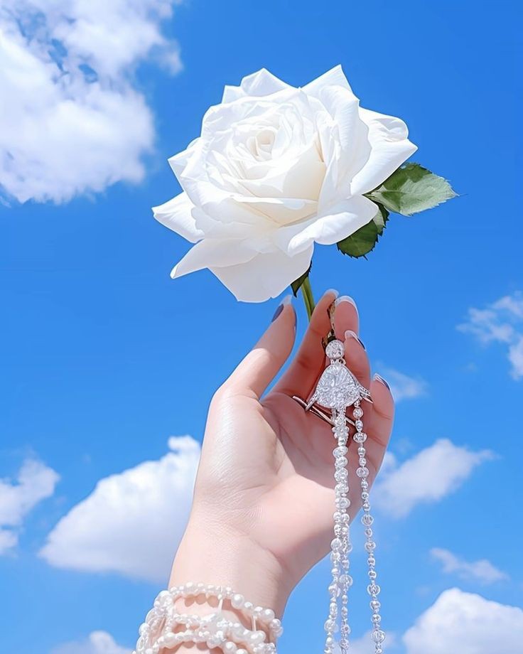 GOOD MORNING❤❤
HAVE A NICE DAY🌴🌴
STATY BLESSED🌾🌾