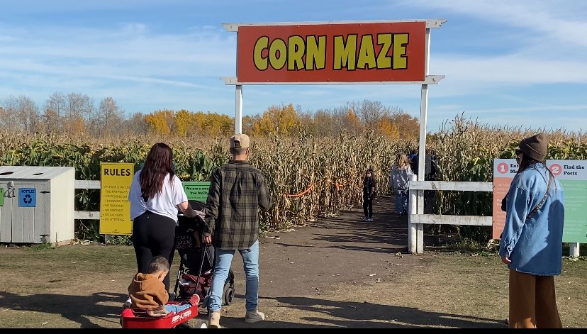 NAITNewsWatch's tweet image. Quick! Check out the Corn Maze this weekend before it ends on the 27th of October. Enjoy all the activities and views for this fall year. 
#Edmonton #Cornmaze #FallFun #23rdyear