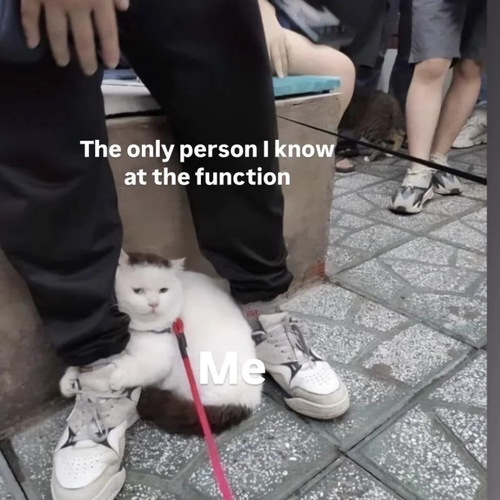 🕐HOURLY🕑 shitpost (@hourly_shitpost) on Twitter photo 