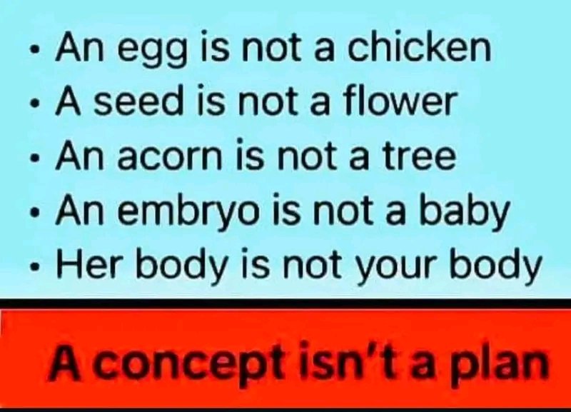 rex197878's tweet image. 