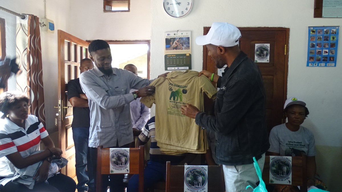 GRACE Gorillas tweet media