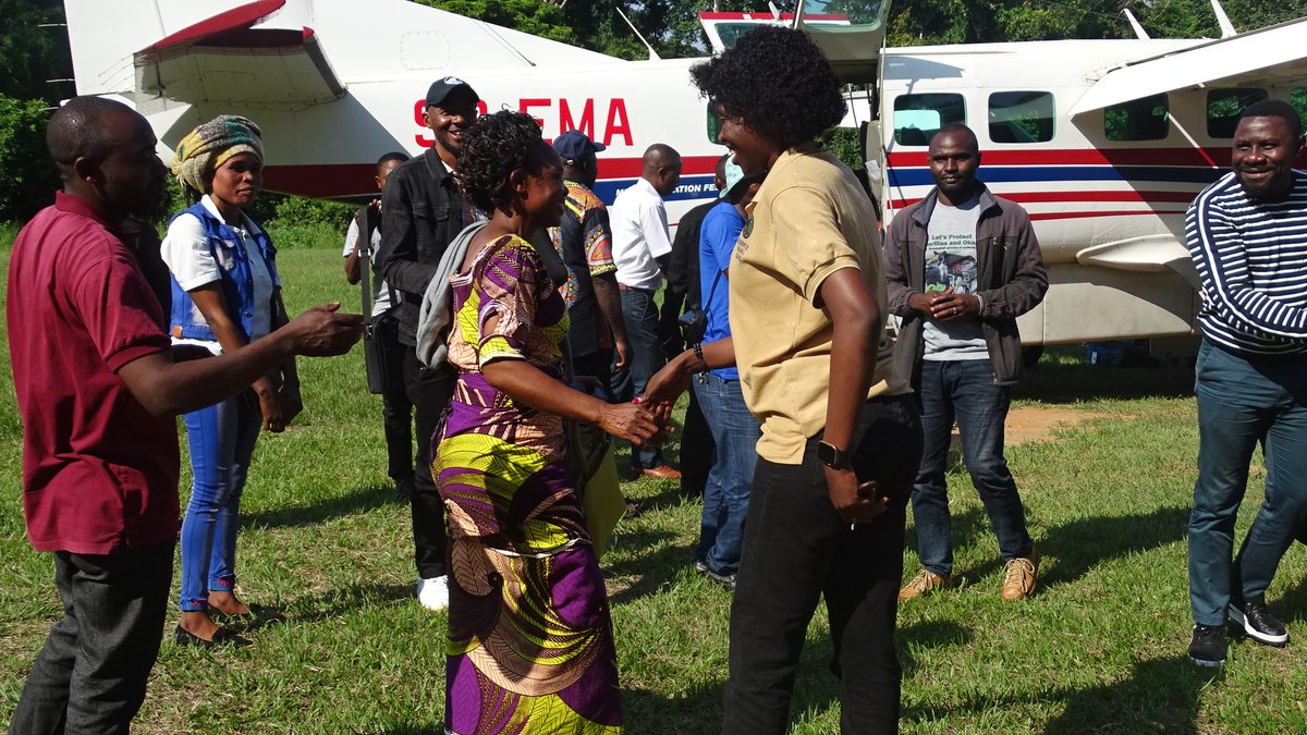 Happy #WorldOkapiDay! GRACE celebrates the @Okapi Conservation Project (OCP) for the work they are doing to protect the remarkable #okapi. 💚 Together, we are building a brighter future for these rare species and the people who call the forests home. 🌍💚

#GrauersGorillas #DRC