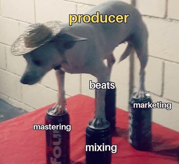 ZyoKev0's tweet photo. Cómo se siente? Cómo se siente? 🎶🎧🎤💻😆🐾 https://t.co/r5irdi3pBG