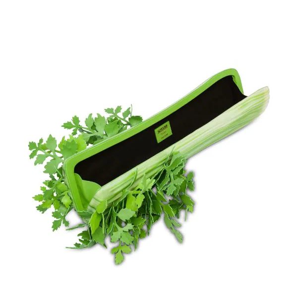 NEED THIS ‼️‼️‼️‼️‼️

Moschino celery handbag