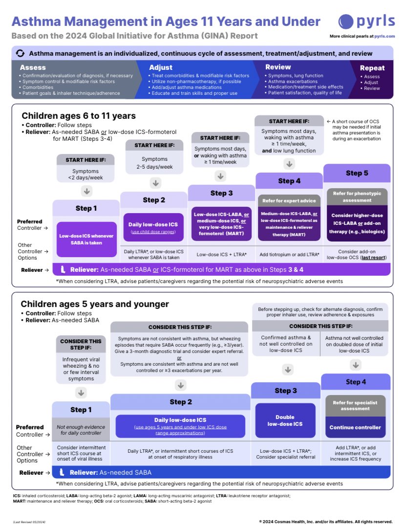 Ph_LamaAlghamdi's tweet photo. Asthma Management 🫁

By:@PyrlsApp 
PDF
https://t.co/jXRD8UJisi https://t.co/BoPyiHzn6s