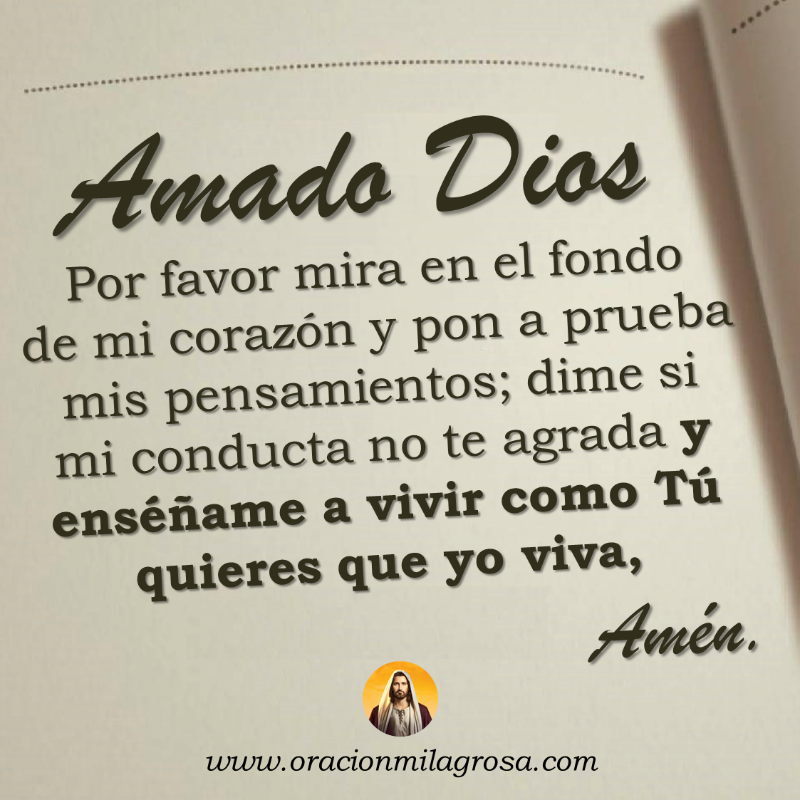 oracion_milagro's tweet photo. AMADO DIOS, AYÚDAME A HACER TU VOLUNTAD: Haz esta oración para pedirle a DIOS que bendiga tu vida, que te conceda sabiduría, que te ayude a vivir en sus planes maravillosos y a cumplir con su divina y perfecta voluntad para tu vida.

Haz esta oración en: https://t.co/O2rqKs7MmW