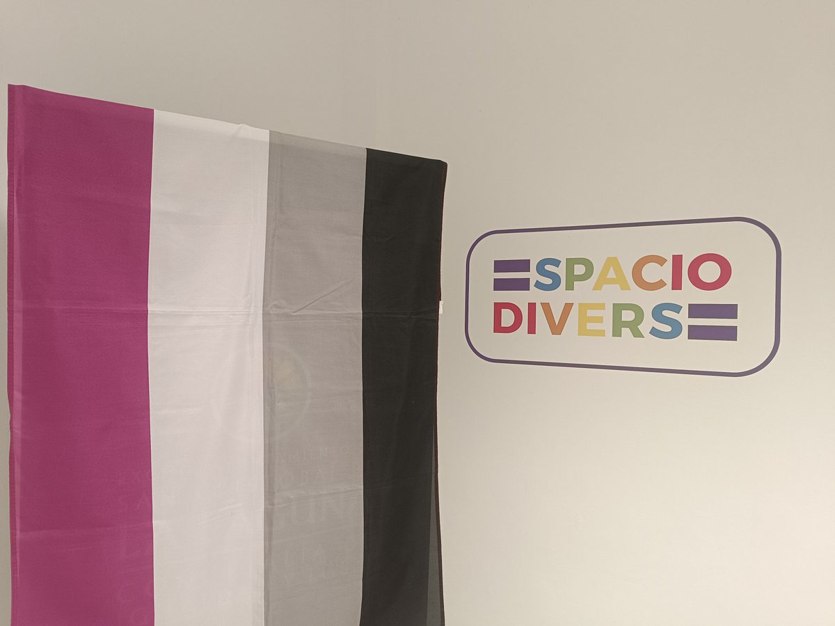 Reunión ACE en el #espaciodiverse organizada por la asociación <a href="/diversaslgbti/">Diversas LGBTIQA*</a> y <a href="/atlibertrans/">LiberTRANS 🏳️‍⚧️</a> donde colabora la asociación de referencia @somos_aces 

Gracias a todes por venir. Seguimos construyendo comunidad 🖤🩶🤍💜

#asexuales #grisexuales #demisexuales #fraisexuales