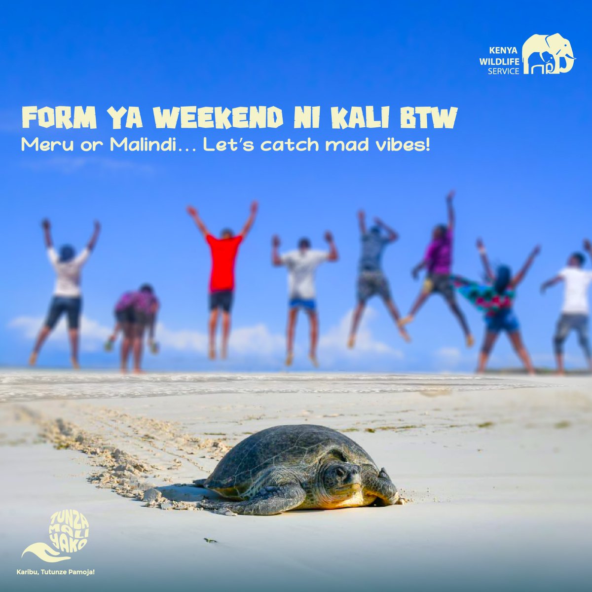 KWS Kiunga Marine National Reserve tweet media
