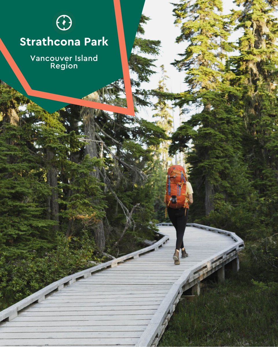 Discover Parks tweet media