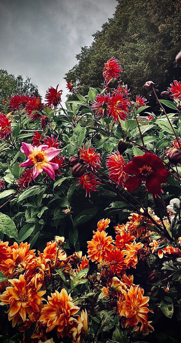 We’re all knackered now - see you next summer 🌚