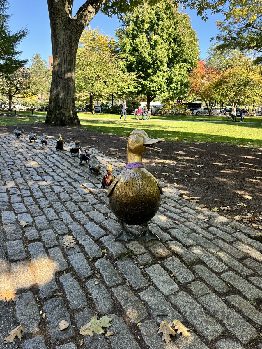 DrMarthaGulati's tweet photo. Boston might be my favorite city in 🇺🇸 (even if I am the only one in a winter coat in October! I am cold!). #Boston #bostoncommons #makewayforducklings 🦆🦆🦆🦆🦆🦆🦆 https://t.co/L2qdAOlGRq