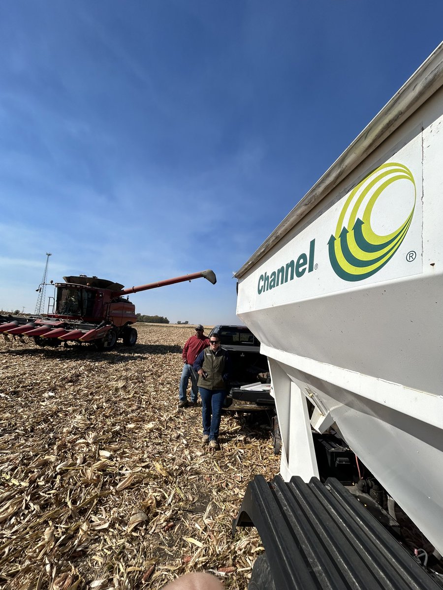 Aaron Wyllie (@wyllieaaron) on Twitter photo Thanks to Seed Pro Tom Mathre and Mathre Farms for this <a href="/ChannelSeed/">Channel Seed</a> plot in Newark, Illinois. Winning yield was 268. 105 day 205-08. Thanks to Seed Pro Tom Mathre and Mathre Farms for this <a href="/ChannelSeed/">Channel Seed</a> plot in Newark, Illinois. Winning yield was 268. 105 day 205-08.