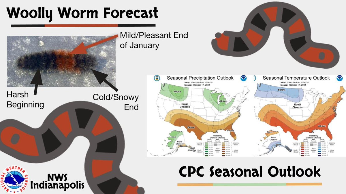 The woolly worm in our backyard hints at a harsh start to winter. However, for a more scientific perspective—one that we recommend—our scientists at the Climate Prediction Center see a higher likelihood of above-normal precipitation and temperatures compared to normal. #INwx