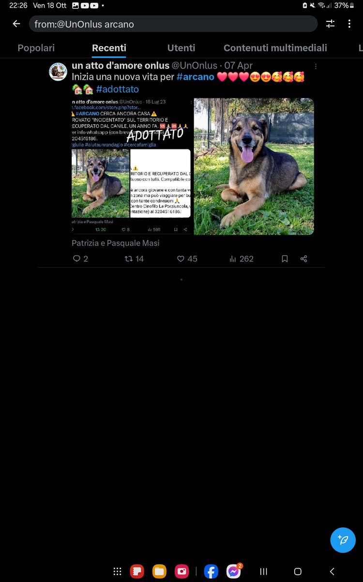 unonlus's tweet photo. #Arcano è stato sfortunato. L'adozione non è andata bene e lui cerca di nuovo casa 🥺🥺🥺🥺🥺
Si trova a Catania
#cercafamiglia
☎️3204516186
#giulia https://t.co/iJruqzXNxm