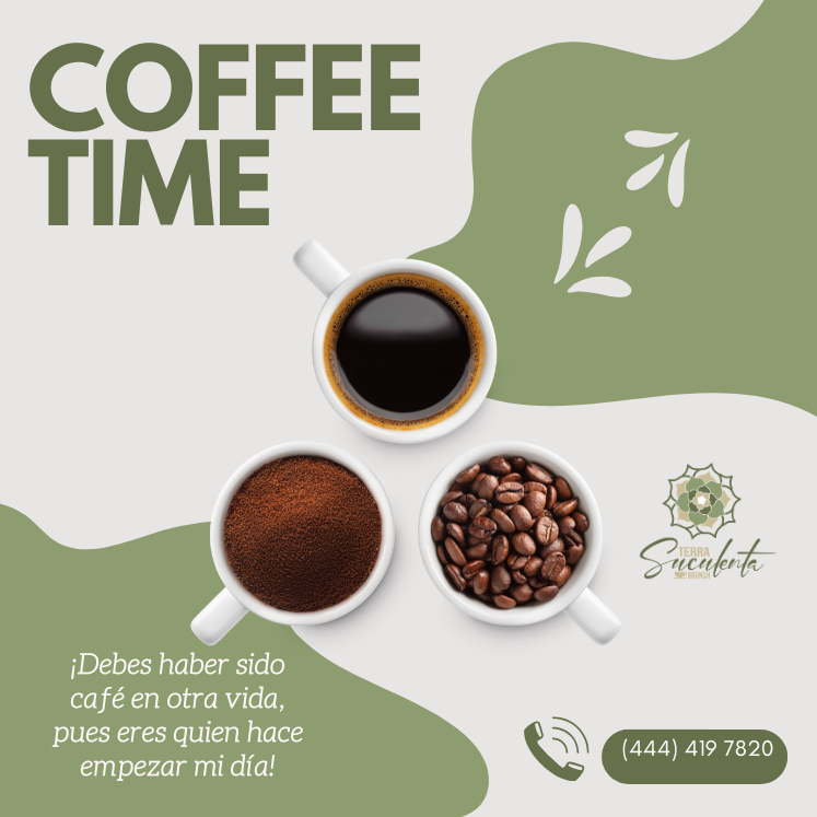 TerraSuculentaB's tweet image. En Terra Suculenta, cada sorbo de café es un suspiro que derrite corazones. Ven a disfrutarlo y déjate llevar por su magia. ¡Te esperamos! ☕💚

#CaféQueInspira #TerraSuculenta #MomentosÚnicos #SanLuisPotosí