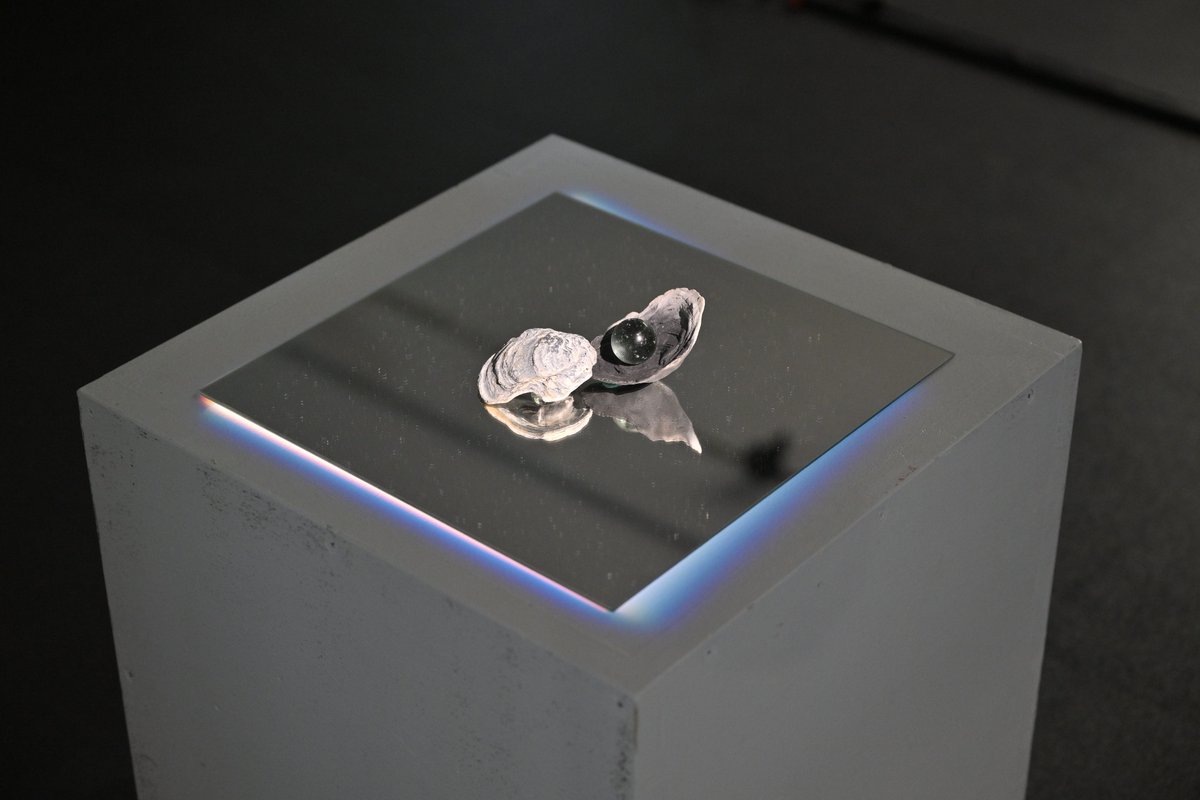 tagprojects's tweet image. 【反照する風景ー実験映画の小窓から】
ЯeaRflex展”mirror mirror”
工藤雅個展”tracing for traces”
最終日となりました。
本日は8mm、16mmフィルム作品のループ上映もあります。
お時間がありましたら是非お越しください。

ご来場は要予約です。詳細↓
masakudo.com/exhibition_tam…