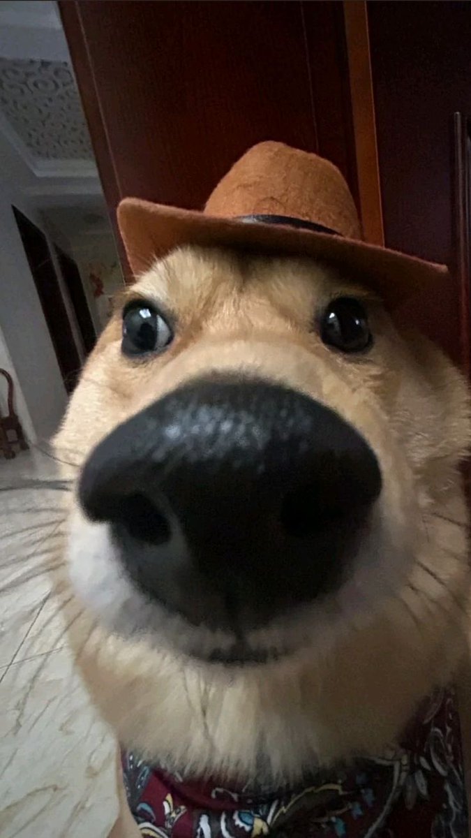 ㅤ