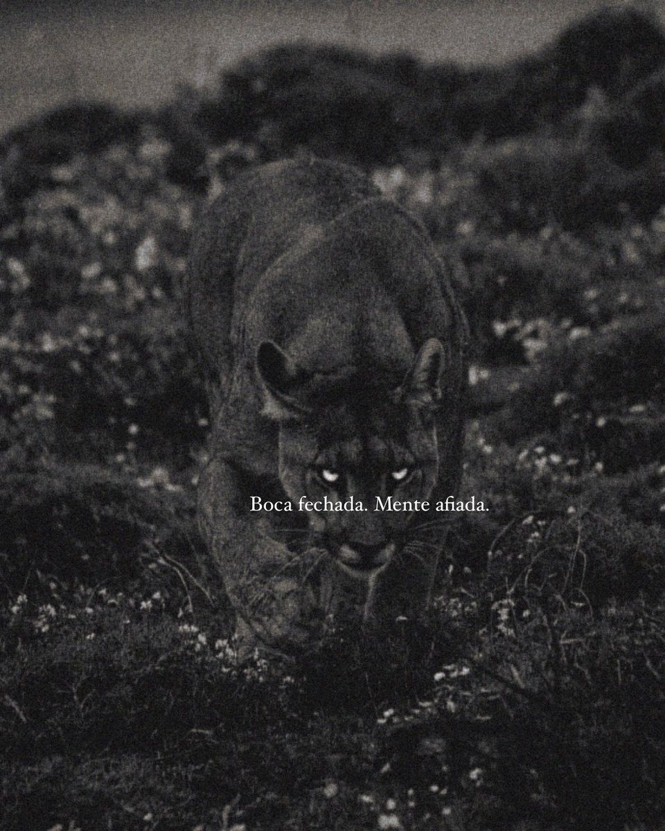 filosofia de poder (@mensagemdepoder) on Twitter photo 