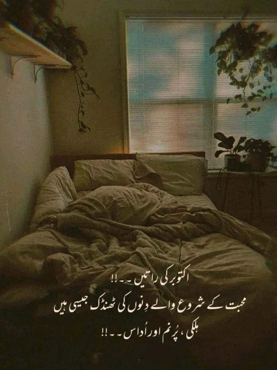 🖤متاع جاں🖤 tweet media