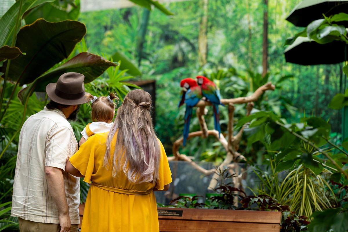 BloedelConserv's tweet photo. There’s no better escape from the rain! 🌧️ 

Visit Bloedel Conservatory this weekend from 10 AM to 5 PM. With just 10 days left before we close for pathway repairs, now’s the perfect time to explore the Conservatory.

Don't forget, save on tickets when you book online in advance! https://t.co/BqnjM6UVs7