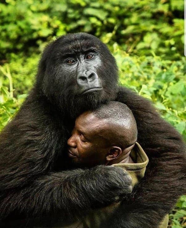 Yaani alikugongea ukiwa umeenda kubuyia wazazi wake mbuzi izzah😥