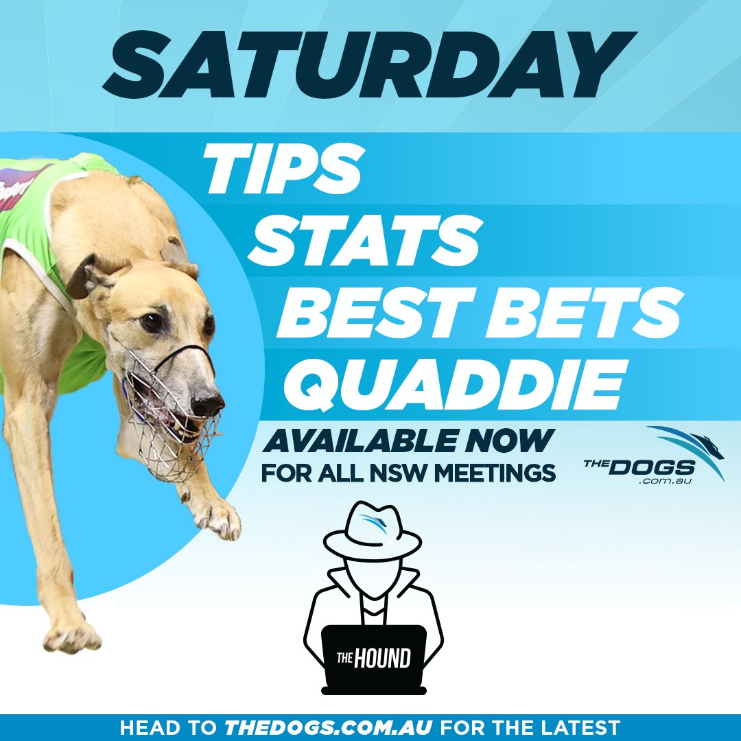🐾 #TheHound has all the tips and stats you need for a big Saturday of greyhound racing!

📺 Watch LIVE: thedogs.com.au/racing
📝 Tips &amp; Stats: thedogs.com.au/racing/the-hou…

#thedogs #greyhoundracing #bestbets #bestbet