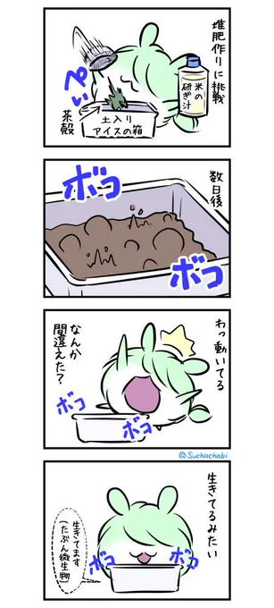 1636日目 アイスの箱でコンポスト作り 
