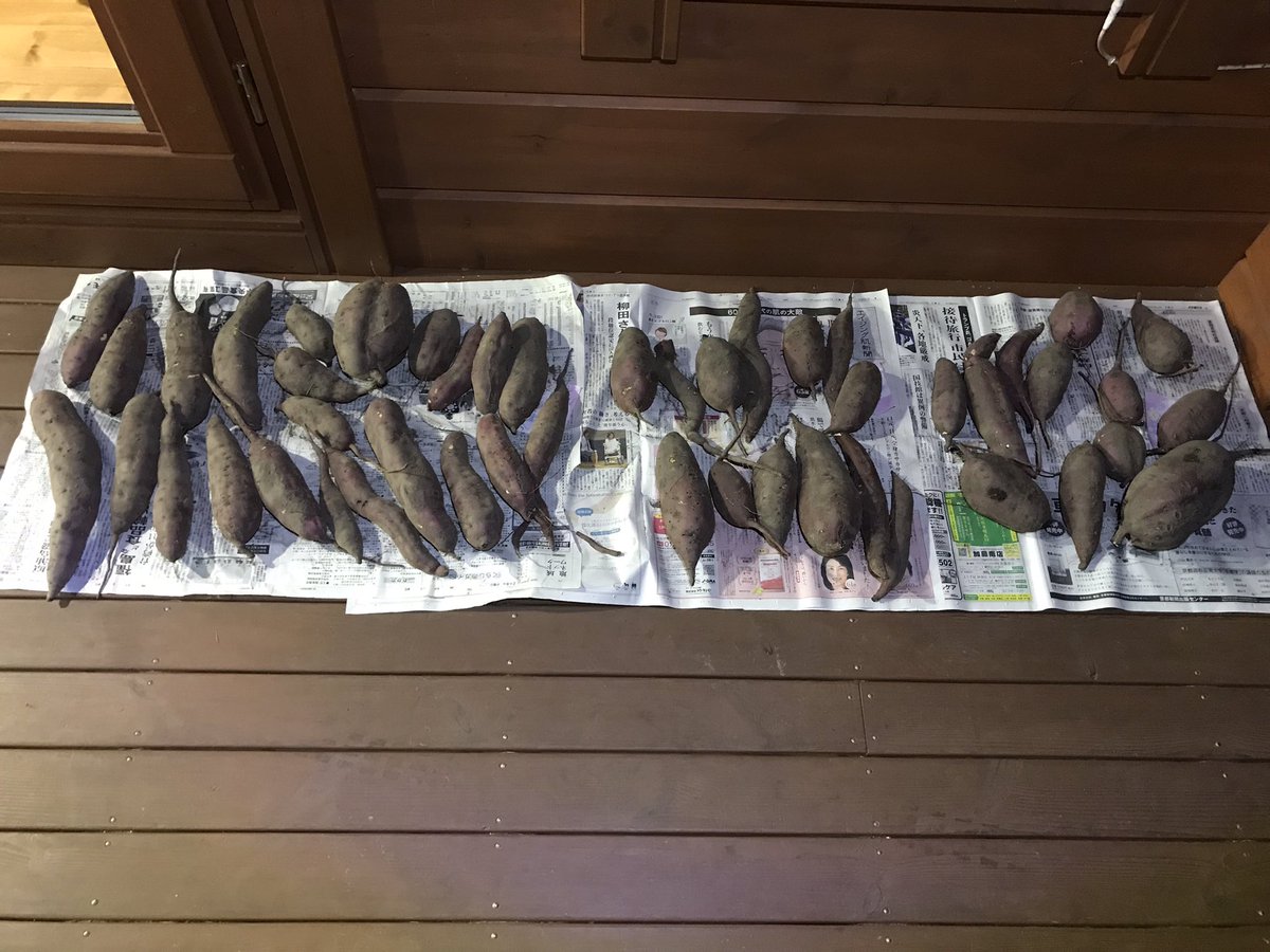 YQ7UeFJ7vL5Lh8a's tweet image. 点いた！エンジン掛かった！
珍しいバイク達。
今日2台お渡しで嬉しい。
DT50はパーツ待ち居残り。と芋。
#4RT #トリッカー #KTM #DT50