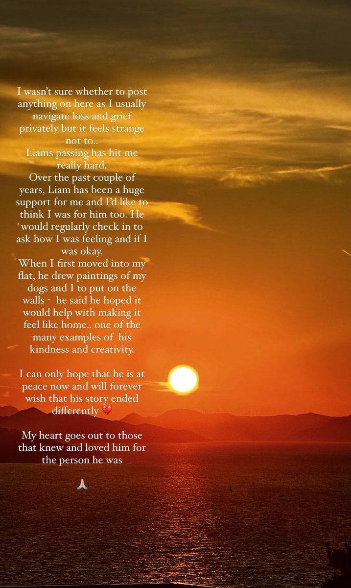 Eleanor is one of the most private person I know. She never even defended herself or her relationship with Louis while she was bullied for YEARS but yet she decided to go out of her way to pay tribute to Liam. I don’t think you guys understand how devastating this is.