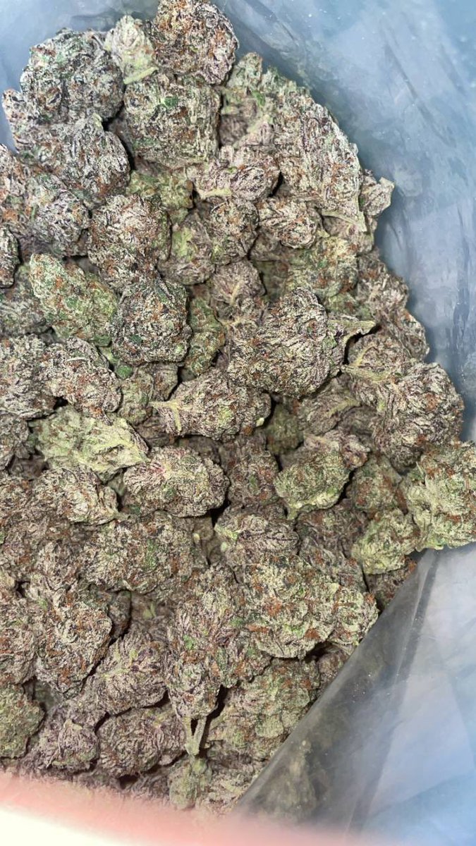 devvdaplug420_ tweet picture